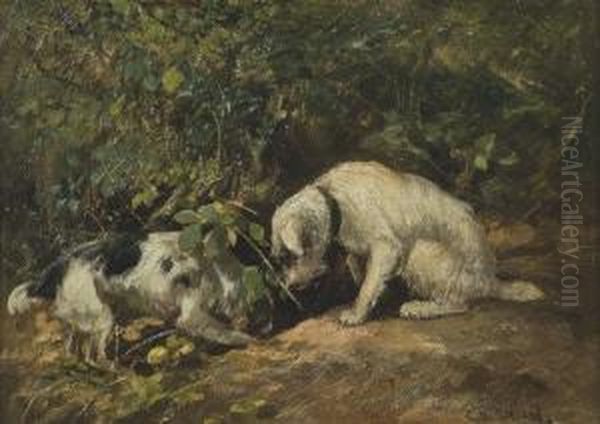 Terriers On The Hunt, Furrowing In A Hole Oil Painting by Cuthbert Edmund Swan