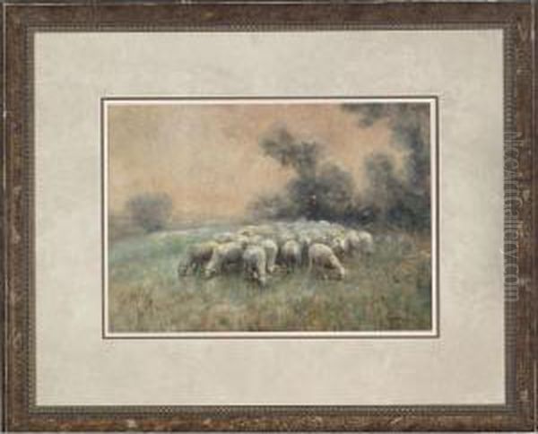 Sheep In A Pasture Oil Painting by Cuthbert Edmund Swan