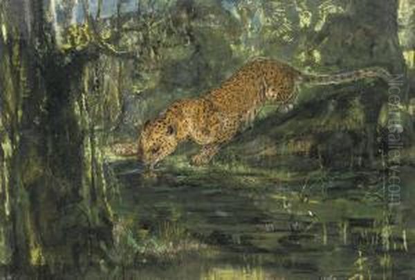 Leopard Drinking From A Stream In The Jungle Oil Painting by John Macallan Swan