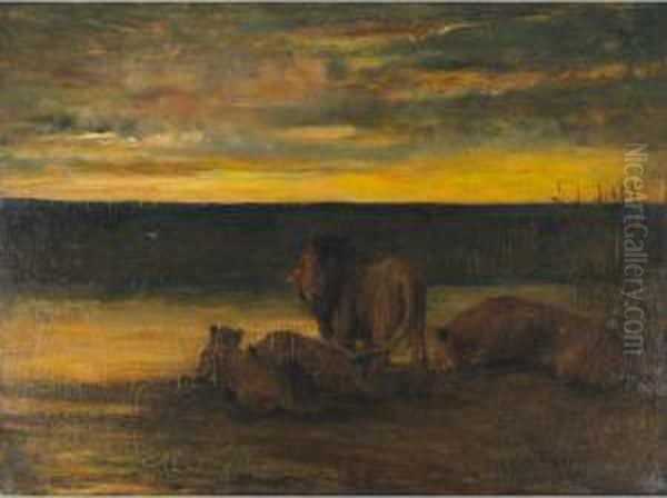 Lions Drinking - Sunset, On The Veldt Oil Painting by John Macallan Swan