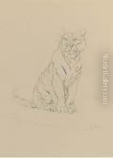 Study Of A Tiger Oil Painting by John Macallan Swan