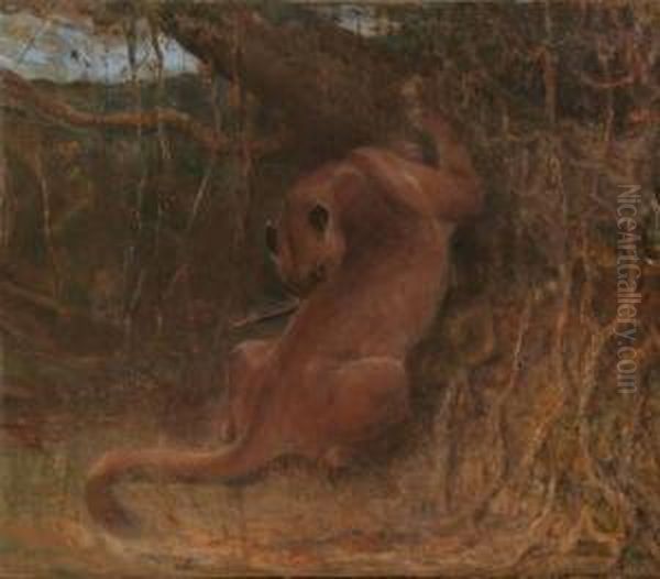 Puma In Jungle Oil Painting by John Macallan Swan