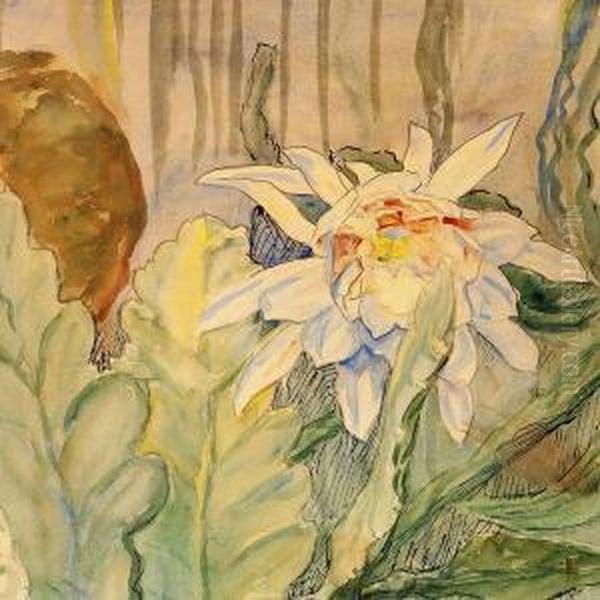 A Blooming Cactus Oil Painting by Anna L., Nee Hansen Syberg