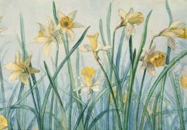 White Narcissus Oil Painting by Anna L., Nee Hansen Syberg