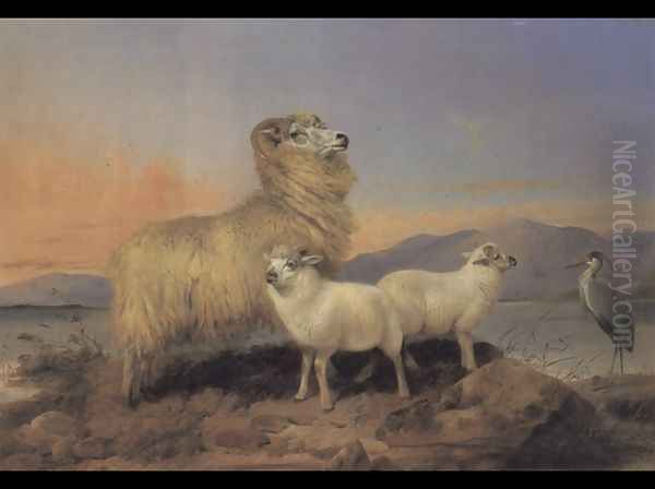 A Ewe with Lambs and a Heron Beside a Loch Oil Painting by Richard Ansdell