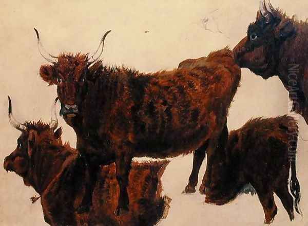 Studies of Highland Cattle Oil Painting by Richard Ansdell