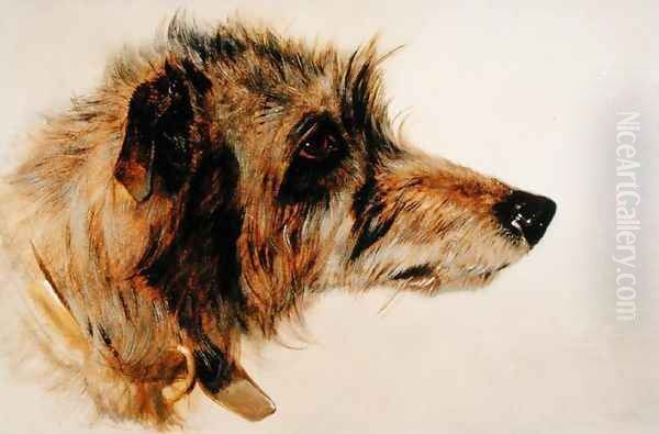 Head of a Dog Oil Painting by Richard Ansdell