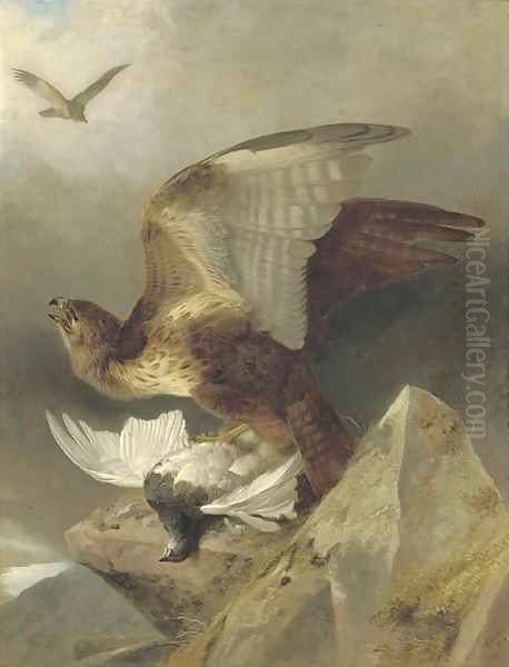 A buzzard with a ptarmigan in a highland landscape Oil Painting by Richard Ansdell