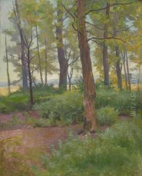 Tisza Parti Fak Oil Painting by Lajos Szlanyi