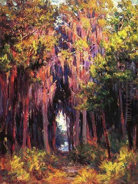 Hanging Moss, St. Petersburg Oil Painting by John Ottis Adams