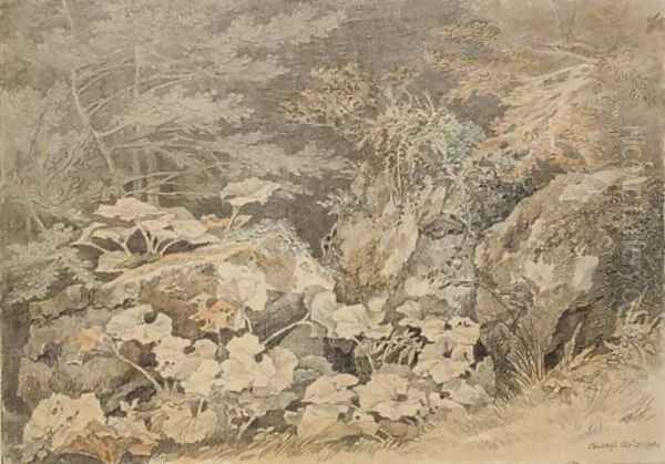 A study of undergrowth at Chudleigh, Devon Oil Painting by John White Abbott