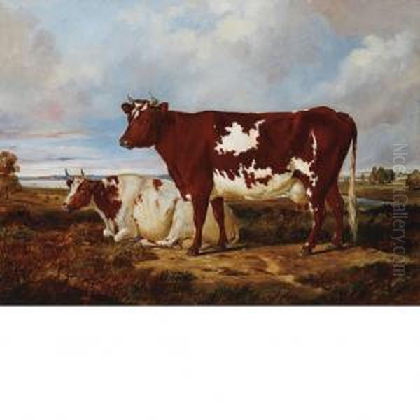 Cows Resting In A Pasture Oil Painting by Arthur Fitzwilliam Tait