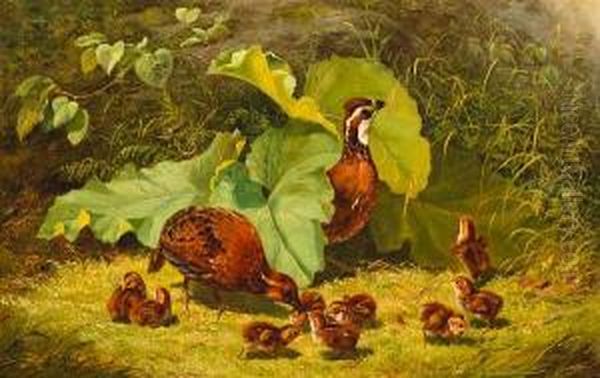 Quail And Young Oil Painting by Arthur Fitzwilliam Tait