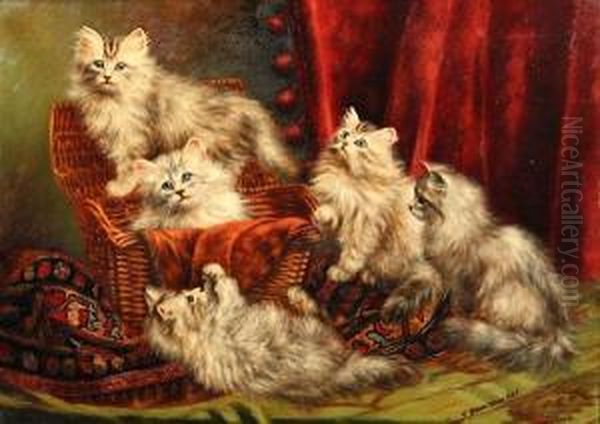 Kittens Playing Oil Painting by Agnes Augusta Talboys