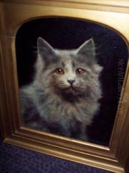 Portrait Of A Cat Oil Painting by Agnes Augusta Talboys