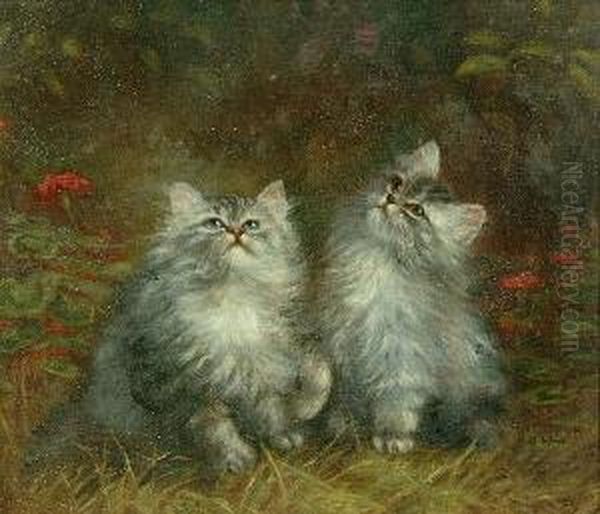 A Study Of Two Kittens Oil Painting by Agnes Augusta Talboys