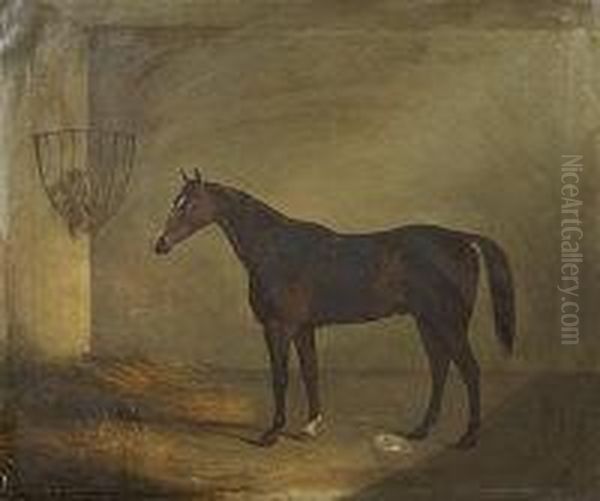 A Pair Of Equestrian Portraits Oil Painting by C. Tanner