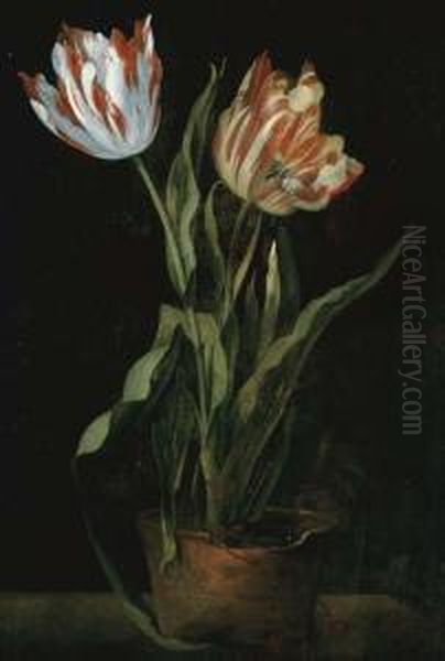 Still Life With Two Variegated Tulips In A Clay Pot Oil Painting by Guillaume-Thomas-Raphael Taraval