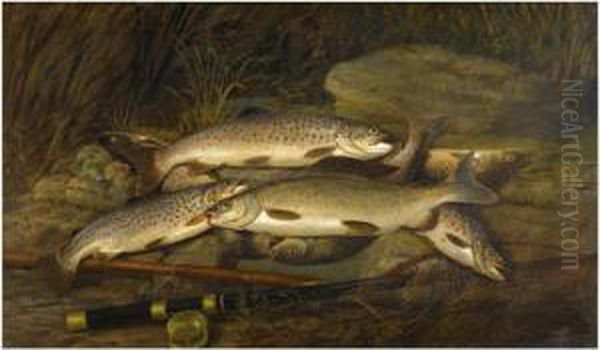 The Day's Catch Oil Painting by Thomas G. Targett