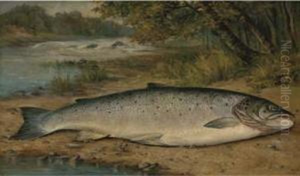 The Catch Of The Day Oil Painting by Thomas G. Targett