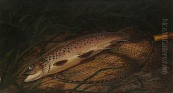 Trout In A Landing Net On A Riverbank Oil Painting by Thomas G. Targett