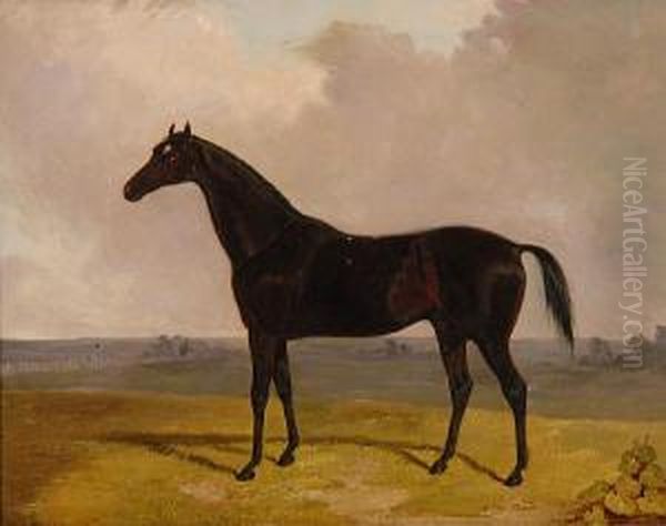 Chestnut Hunter Before A Landscape Oil Painting by William Tasker