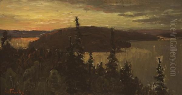 Auringonlasku Vaaramaisemassa Oil Painting by Eugen Taube