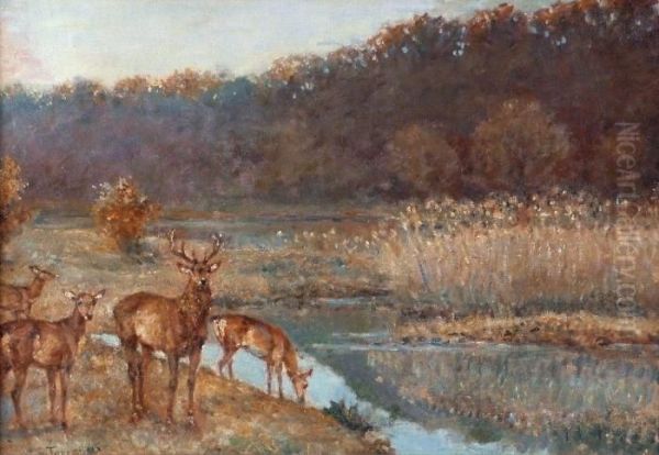 Cerfs Etbiches Au Bord D'un Etang, Fontainebleau Oil Painting by Paul Tavernier