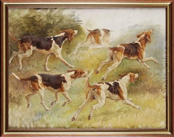 Etude De Chiens Oil Painting by Paul Tavernier