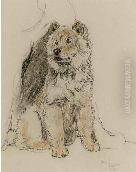 Study of a chow chow Oil Painting by Cecil Charles Aldin