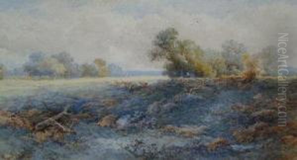 Cattle In 'sutton Park' Oil Painting by Edwin Taylor