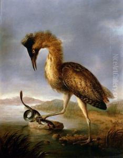 Bittern Trapping An Eel, In A Marshland Setting Oil Painting by Stephen Taylor