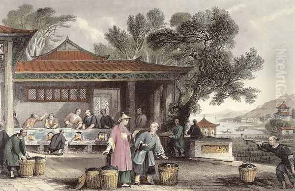 The Culture and Preparation of Tea, from 'China in a Series of Views' Oil Painting by Thomas Allom