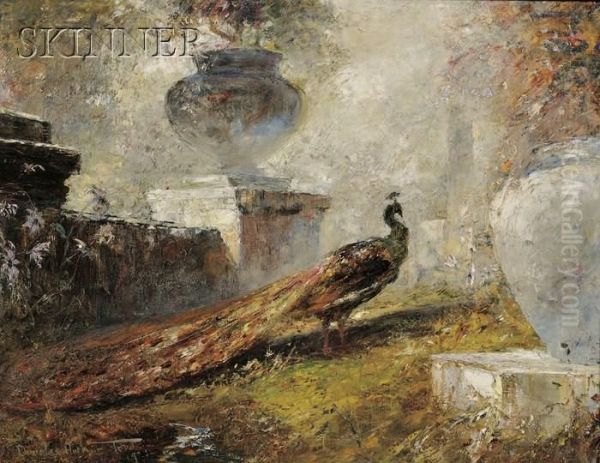 Peacock Among Garden Urns Oil Painting by Douglas Arthur Teed