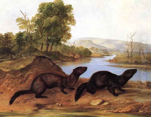 Mountain Brook Minks Oil Painting by John Woodhouse Audubon