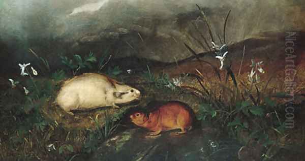 Hudson's Bay Lemming Oil Painting by John Woodhouse Audubon