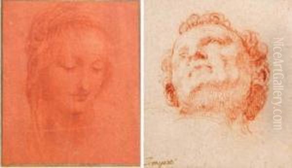 Head Studies Oil Painting by Giovanni Battista Tempesti