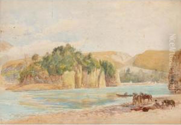 Rakaia Gorge; Takamatu, Akaroa Harbour, New Zealand Oil Painting by Edwyn Temple