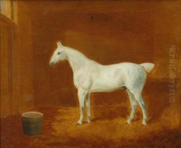 A Grey Horse Standing In A Stable Oil Painting by T. Temple