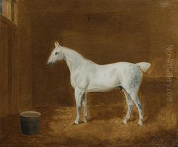 A Grey Horse Standing In A Stable by T. Temple