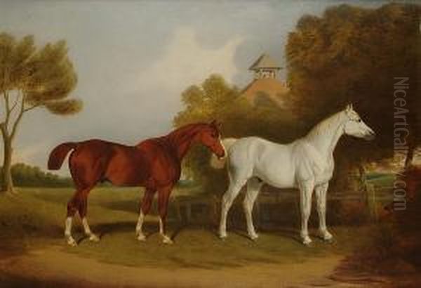 A Portrait Of Two Stallions In A Paddock Oil Painting by T. Temple