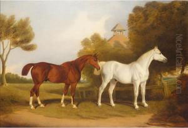 A Chestnut Stallion And A Grey Stallion Oil Painting by T. Temple