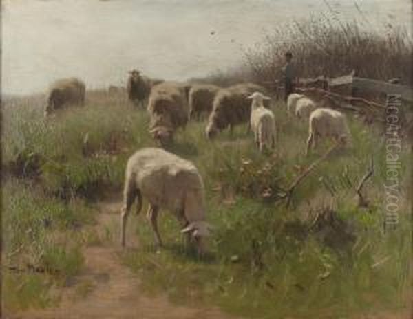 Sheep In Pasture Oil Painting by Francois Pieter ter Meulen