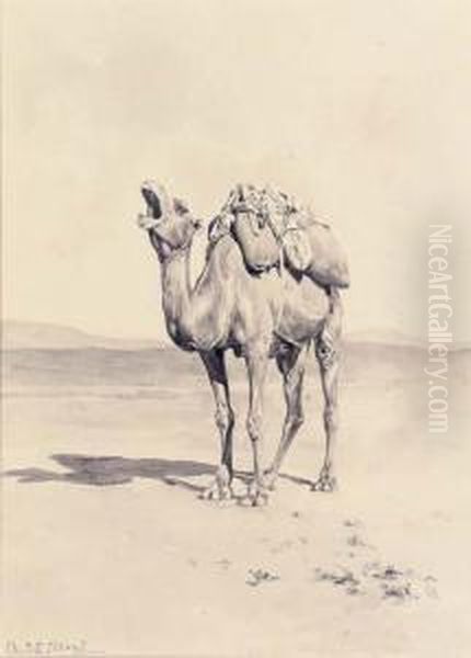 A Yawning Camel (illustrated); And Outside The City Walls Oil Painting by Aleardo Terzi