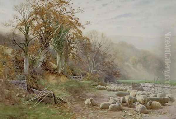 Sheep resting in the sunshine Oil Painting by Charles James Adams