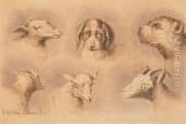 Six Tetes Dont Chiens Oil Painting by Jean-Baptist Tetar Van Elven