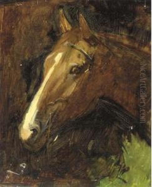 Study Of A Horse Oil Painting by Abbott Handerson Thayer