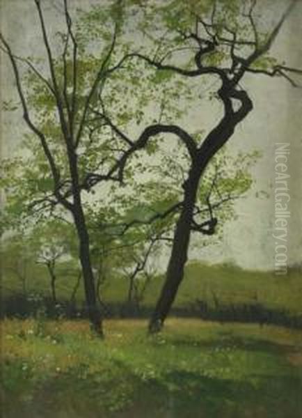 Fruhlingslandschaft Oil Painting by Max Thedy