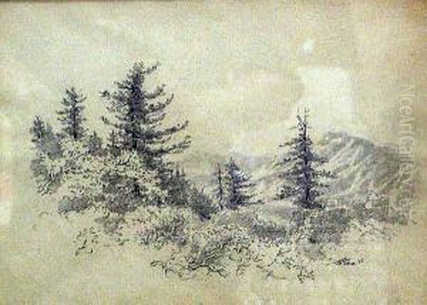 On Rim Road, Mt. Wilson Oil Painting by John William Theiss