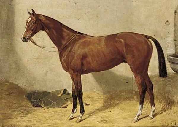 Missal, a chestnut hunter in a stable Oil Painting by Emil Adam